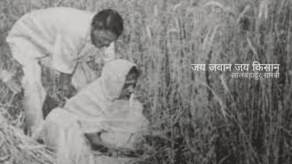 सन् 1965 में भारत पर अनाज का संकट