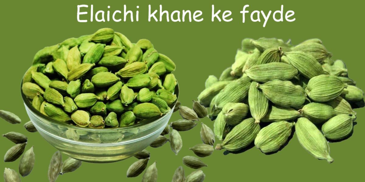 Elaichi khane ke fayde