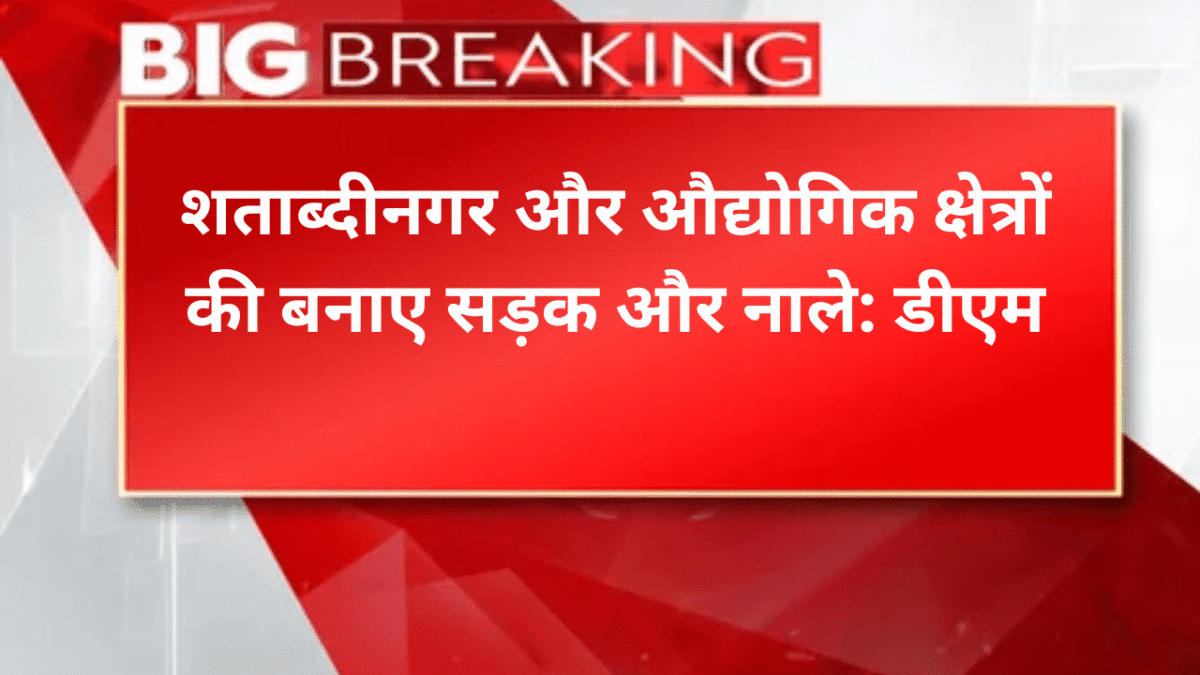 शताब्दीनगर और औद्योगिक क्षेत्रों की बनाए सड़क और नाले: डीएम