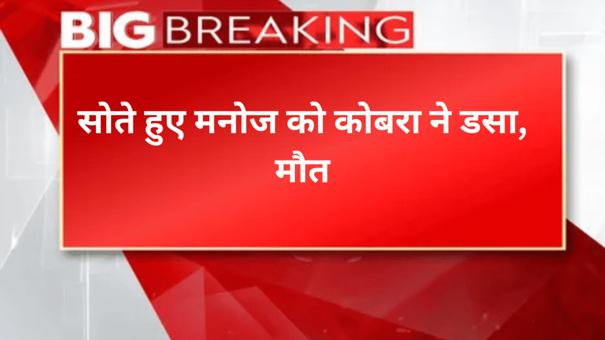 सोते हुए मनोज को कोबरा ने डसा, मौत